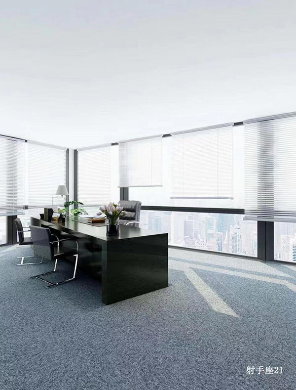 办公地毯19