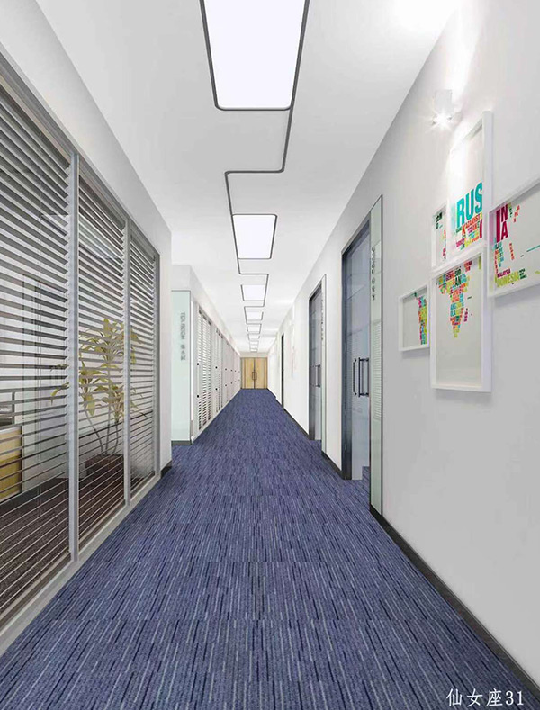 办公地毯13
